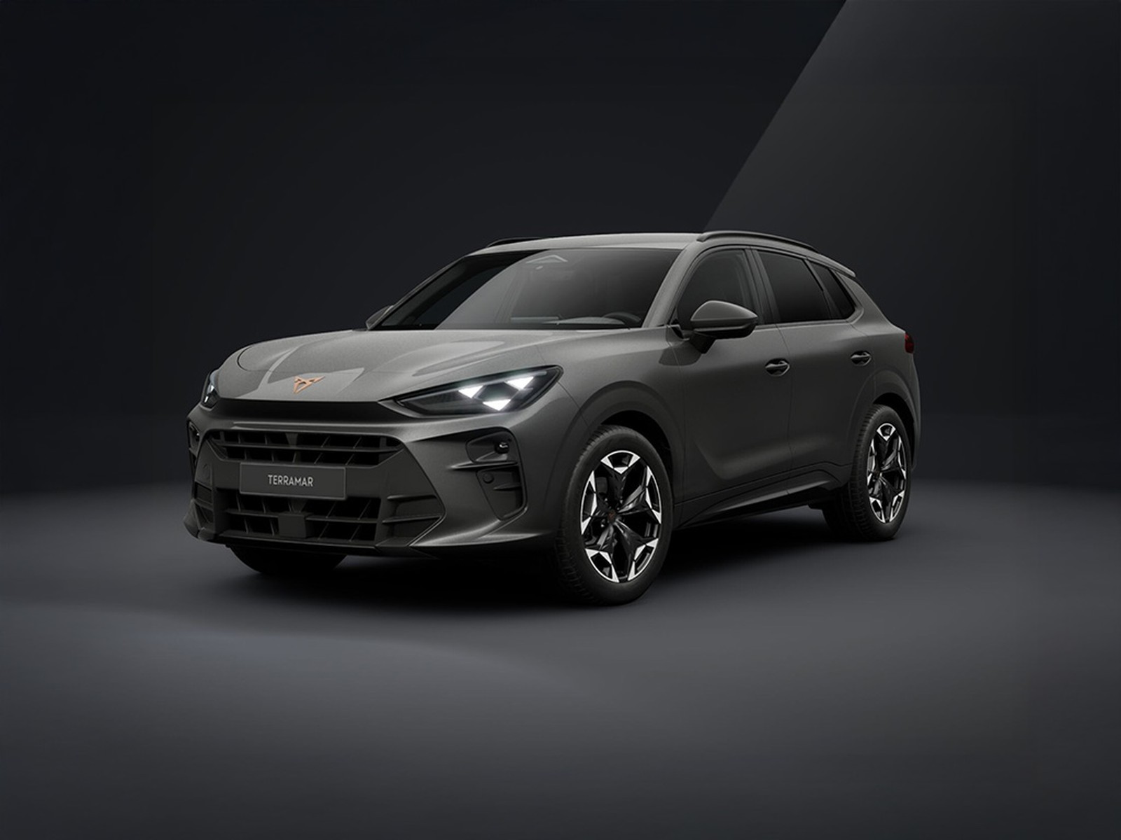 Cupra Terramar 1.5 hybrid 150cv dsg