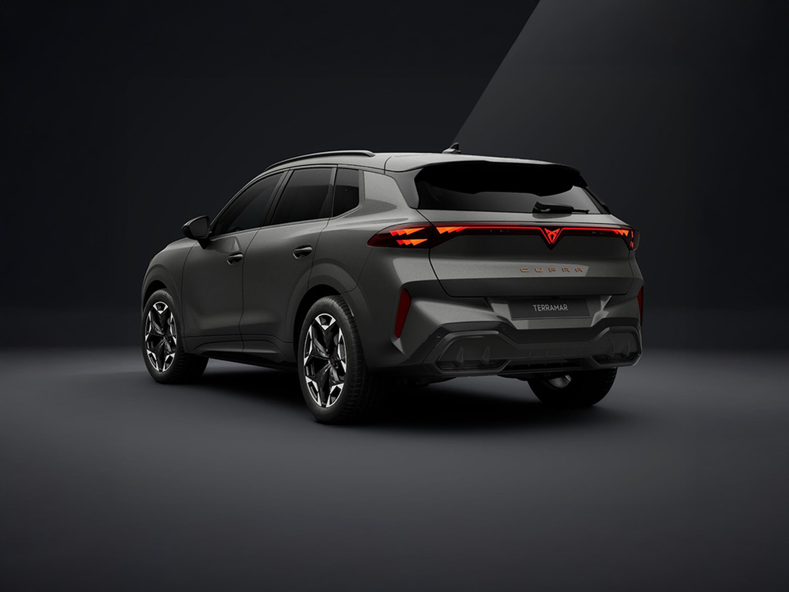 Cupra Terramar 1.5 hybrid 150cv dsg