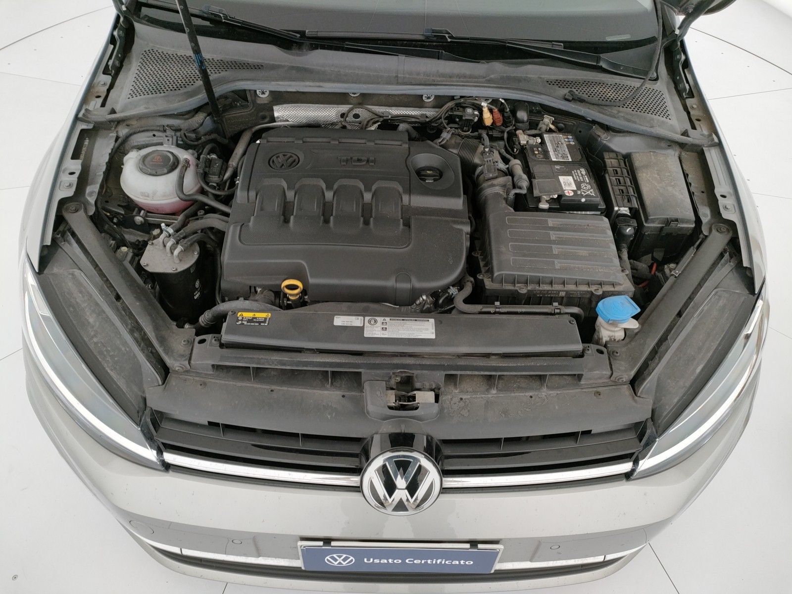 Volkswagen Golf 5p 1.6 tdi executive 115cv